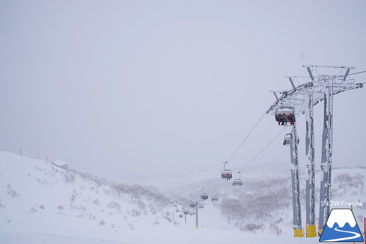 ニセコマウンテンリゾート グラン・ヒラフ　粉雪と千歳ワイナリーの美味しいワインに酔う♪